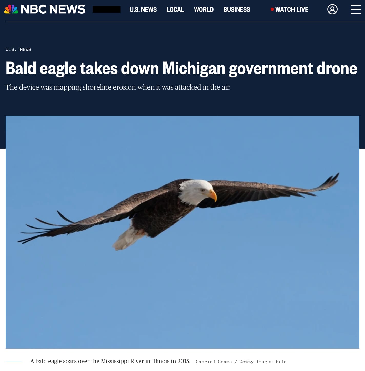 bald eagle - Jl Nbc News U.S. News Local World Business Watch Live U.S. News Bald eagle takes down Michigan government drone The device was mapping shoreline erosion when it was attacked in the air. A bald eagle soars over the Mississippi River in Illinoi